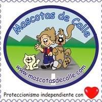 MascotasDeCalle (@mascotasdecalle) 's Twitter Profile