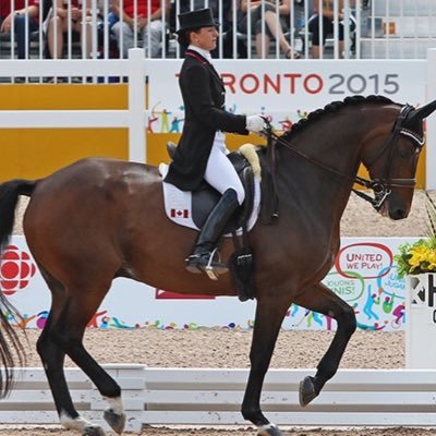 Equestrian Horse Racing Tips Horses Lifestyle and Culture Rio 2016 Olympics