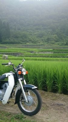 雪国でベンリィCD125T(JA03)に乗っています
その他
CD250U
CT110
スーパーカブ90(HA02)
スズキK125(S型)
三菱パジェロミニ(GF-H58A)NA5MT
ホンダアコードサルーン(E-SM)CVCC1800ccホンダマチック