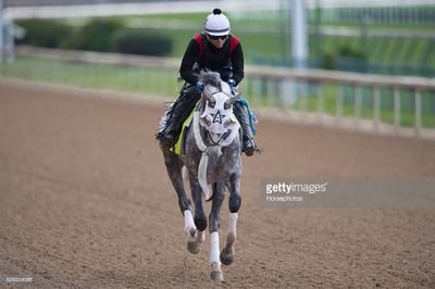 Exercise/Breeze Rider at Steve Asmussen Racing