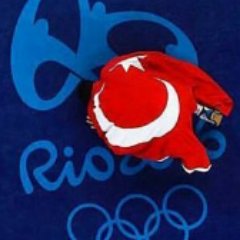 nasrettinkoksal's profile picture. Researcher @uWaterloo