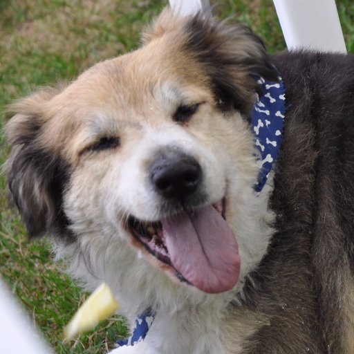 approxOrange's profile picture. Will, he/him, 25