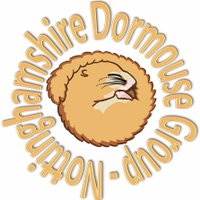 Notts Dormouse Group(@NottsDormice) 's Twitter Profile Photo