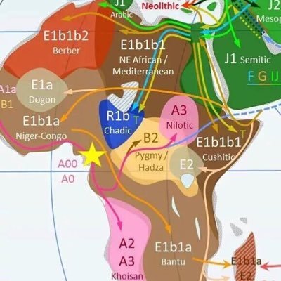 خرافة العرب قسمان العاربة والمستعربة هل أكدها العلم الجيني أم فضح المدلسون Sudaneseonline