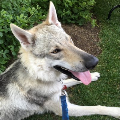 LWE_APMacro's profile picture. 