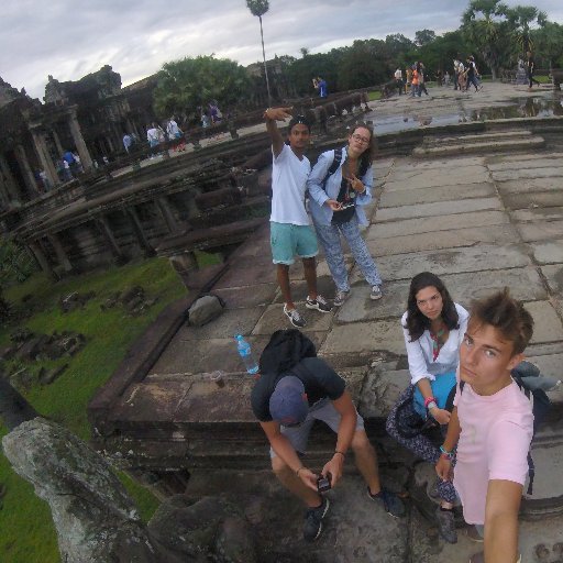 GugusKiwi's profile picture. 