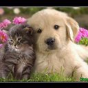 Samuel - @SamuelArgento - Twitter