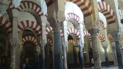 loquenosabeisde's profile picture. 