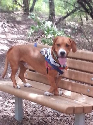 wcm21cent's profile picture. 