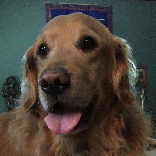 Retired pirate over 25 times 1001 nights old. Thriving in the Pacific Northwest woods & trying to leave my campground better than I found it. Scout's honor...