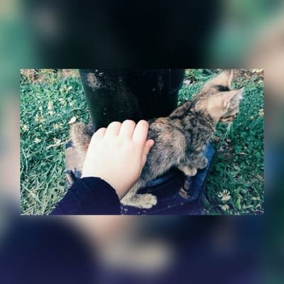 Maviladyy98's profile picture. Burası benim günlüğüm.

Umut etmek'mi bence bi kez daha düşün !








Snapchat:busrakaya_02
Tumblr:busrakayamavi