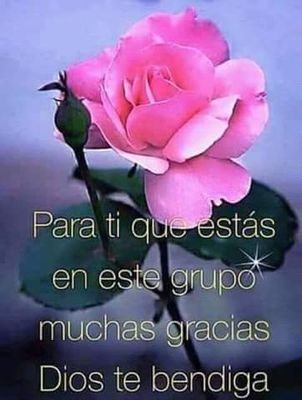 ChikyzMontano's profile picture. 