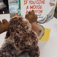 Moose Pool (@moosepool) 's Twitter Profile