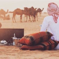 هــــدامــ (@q8hdam) 's Twitter Profile