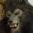 strangewingz's profile image