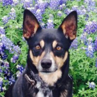 Jim O'Donnell (@jimodonnell12) 's Twitter Profile