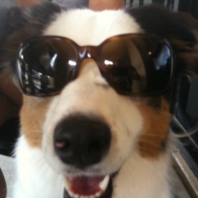 blakeyantis's profile picture. 