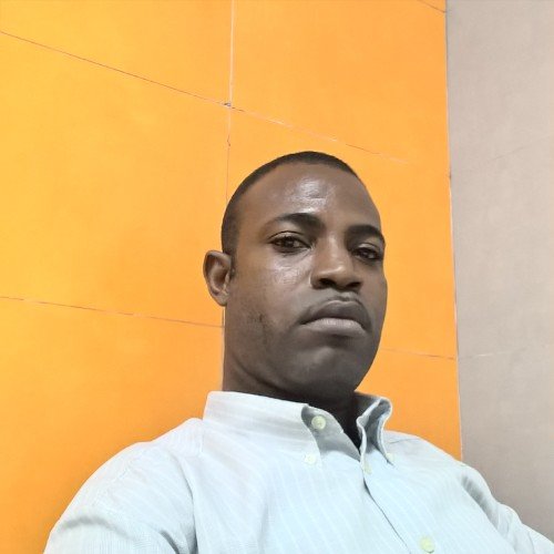 AbayomiSokenu's profile picture. Sokenu Abayomi, is a professional trained Artist.