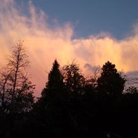 Devin Sorensen (@devinsorensen) 's Twitter Profile