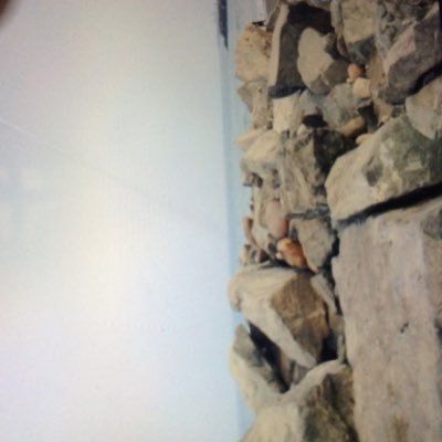 alio_aly's profile picture. اروح لوين انا عنك