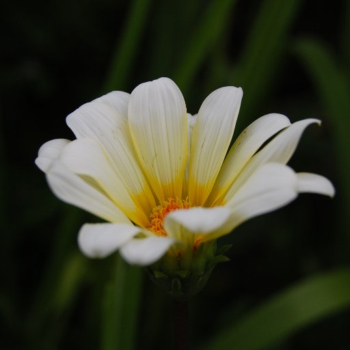 heJunchen's profile picture. 