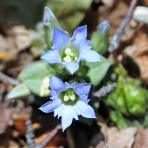 snowy94968203's profile picture. 