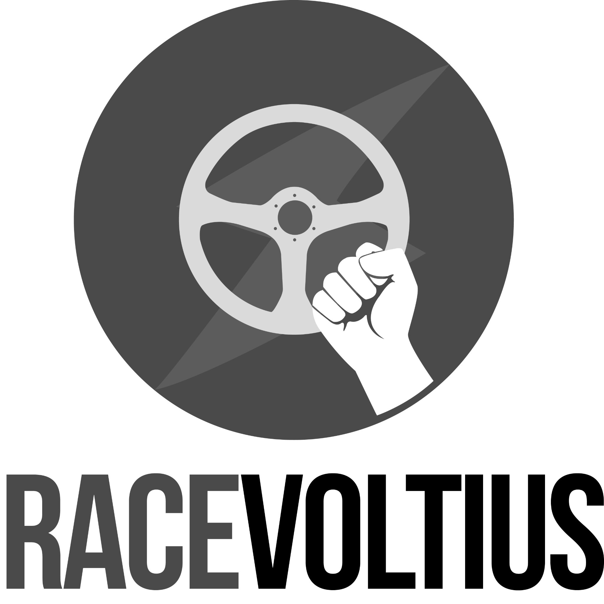 racevoltius's profile picture. 100% racing