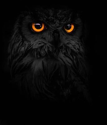 _os_8's profile picture. 1