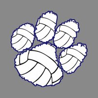 Millbrook Volleyball (@mhswildcatvball) 's Twitter Profile
