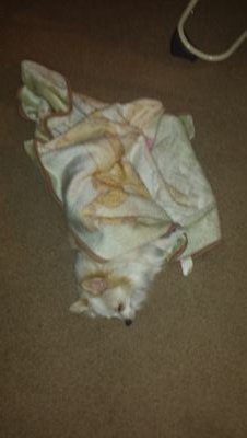 Avatar_Slayer's profile picture. 