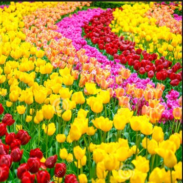 Dear friends
An Invitation to live better...
and taking the opportunity to find out about the meanings of life.