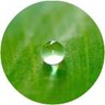 ToGovern's profile picture. In the absence of effective #leadership, all efforts to #govern will fail;

... in the absence of good governance, all efforts to lead will fail.