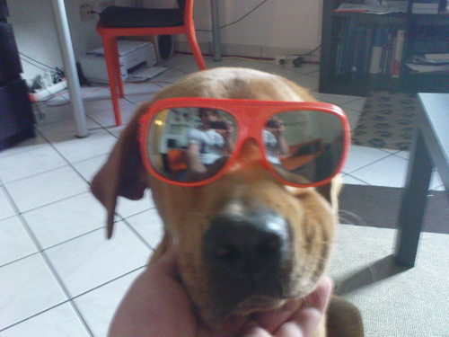 toooobes's profile picture. 