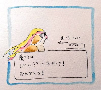 鷹P子🦅さんのプロフィール画像