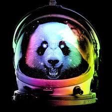 drew_conger's profile picture. I love snow! And fishing.