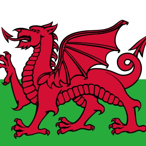 Croeso! Welcome to Plym Uni Welsh Soc. Follow the link for more info 🐲