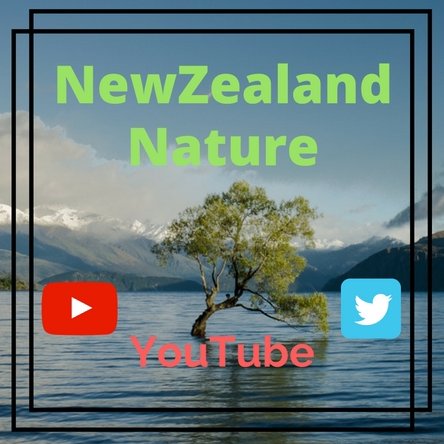 all from New Zealand nature ! also we have own YouTube channel...