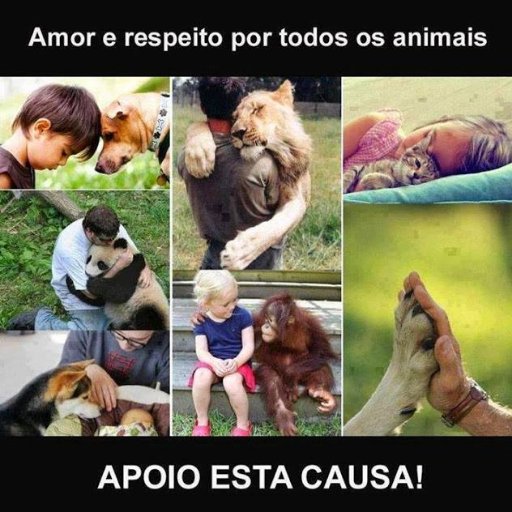 eu odeio quem maltrata os animais , amo todos animais