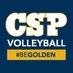 CSP Volleyball (@CSPBearsVB) Twitter profile photo