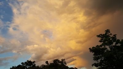 bigdark1's profile picture. schräger Vogel, Musikfan #Rock/ #Metal, Bj.1976 in Dresden, jetzt Krefelder, solo