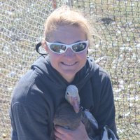 Susan Felege (@felegelab) 's Twitter Profile
