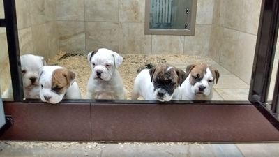 LeroyMi40158656's profile picture. Sports NFL NBA Music Soccer MLB Country Entertainment