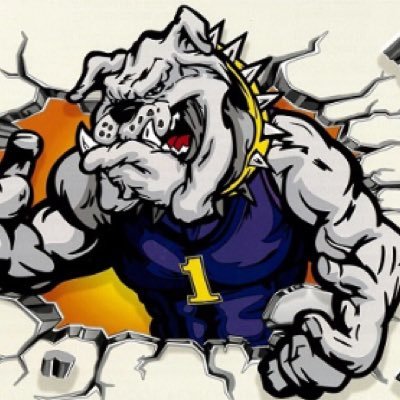 BHS_dawgpound Profile Picture