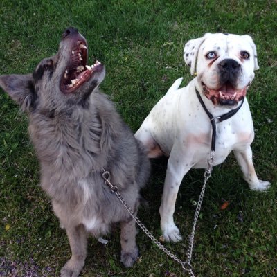 JuanValmaseda1's profile picture. 