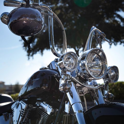 goautocycles3's profile picture. Hello!  Motorcycles Sale, Parts & Accessories Business, Photographer, Live Musician, Bass Player, Songwriter, Producer, Artist. Die Heart Native Floridian.