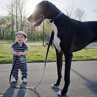 Barry wade (@barrywade2) 's Twitter Profile Photo Barry wade (@barrywade2) 's Twitter Profile Photo