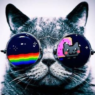 baeunicorn9's profile picture. hunter & brandon & MAGCON & POMS & Jessie mermaid mom💕