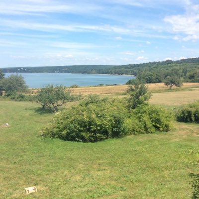 LouannaBethune's profile picture. 