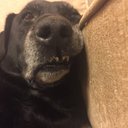 Mark Gambrell - @MarkGambrell - Twitter