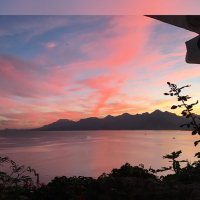 Zeynep Ayşe Taş (@taszeynepp) 's Twitter Profile